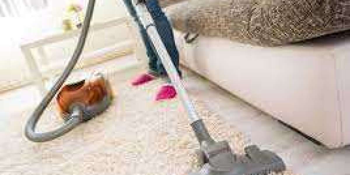 Professional Carpet Cleaning: The Foundation for a Visually Stunning Home