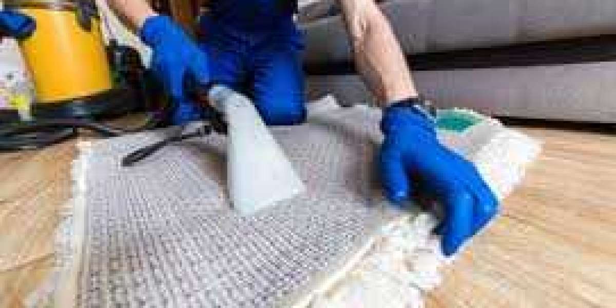 Enhancing Home Style with Expert Professional Carpet Cleaning Services/